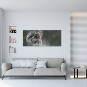 Kép - Mókus télen (120x50 cm)