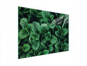 Üveg Vágódeszka 40x30 Citromfű Edzett Üveg