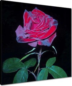 Vászonkép 50x50 Vörös rózsák a kertben