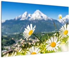 Kép - tavasz az Alpokban (90x60 cm)