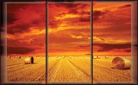 Fotótapéta Búzamező Naplemente Arany szénabála 208x146 +ragasztó