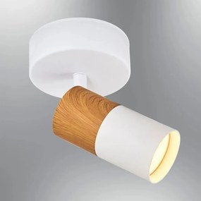 Dima - 1425-1-1