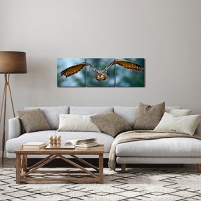 Kép - Bagoly repülés közben (órával) (90x30 cm)