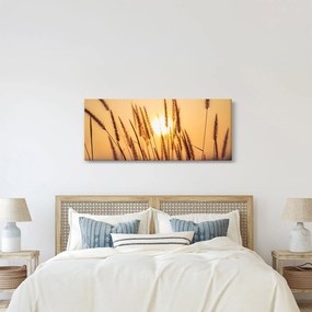 Kép - Füvek a napon (120x50 cm)