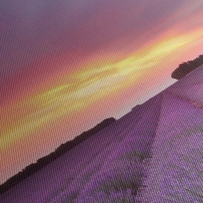 Kép - Levendula mező (90x60 cm)