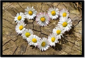 Poszter keretben 60x40 Kamilla szív