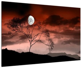Kép - Hold megvilágítja az éjszakát (90x60 cm)