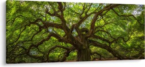 Kép - Zöld fa (120x50 cm)