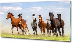 Fotótapéta üvegfalra Lovak a galoppban 100x70