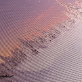 Kép - Fák a hótakaró alatt (70x50 cm)