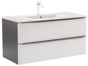 Vario Trim 100 Fürdőszoba alsó szekrény mosdóval
