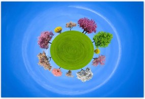 Poszterek 200x135 Fa Fák Kilátás