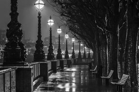 Poszter 60x40cm Esti sétány 2, Assaf Frank