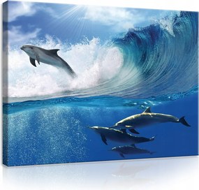 Vászonkép 80x60 Delfinek óceán hullám ugrás víz alatt nap természet tengeri élet