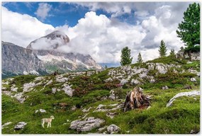 Poszterek 120x80 Bárány a hegyekben Kilátás