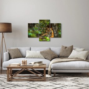 Pihenő tigris képe (90x60 cm)