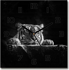 Üveg falióra szögletes Tigris 30x30 cm