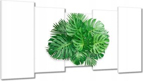 Vászonkép 150x80 Monstera Lyukas levelek