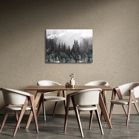 Kép - Erdő illusztrált elemekkel (70x50 cm)
