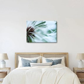 Kép - Egy virág részlete (70x50 cm)