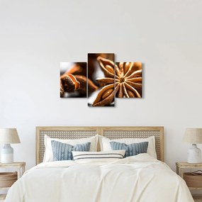 Kép - Anise (90x60 cm)