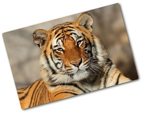 Üveg vágódeszka Bengáli tigris pl-ko-80x52-f-88747131