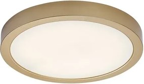 Shaun plus kültéri mennyezeti lámpa 30w 3000lm ip44 arany