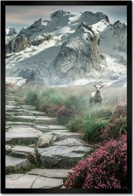 Poszterek keretben 40x60 Hegyi kilátás Tájkép Köd