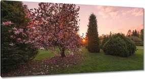 Festmények 115x55 Kilátás Tájkép