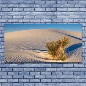 Üvegfotó Fekvő sivatagi homok 120x60cm