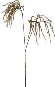 Amaranthus műnövény