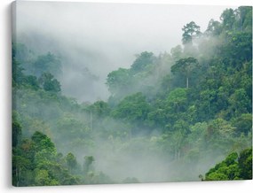Kép - Reggeli köd (70x50 cm)