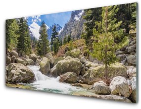 Akrilüveg fotó Stones River Mountain Forest 140x70 cm