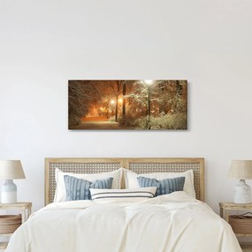 Kép - havas park (120x50 cm)