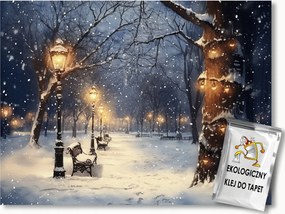 Fotótapéta Flizelina Park Ösvény Sikátor Tél Hó Este 200x140 ragasztó