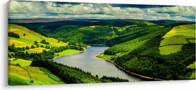 Kép - Zöld táj (120x50 cm)