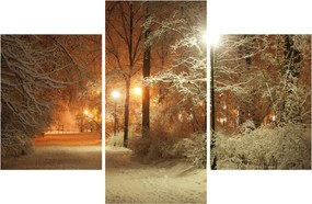 Kép - havas park (90x60 cm)