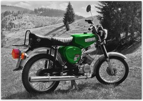 Fotótapéta 208x146 Zöld Simson S51 E