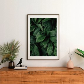 Poszter Rejtett természetszálak 50x70 cm Matt