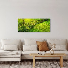 Kép - Rizs teraszok (120x50 cm)
