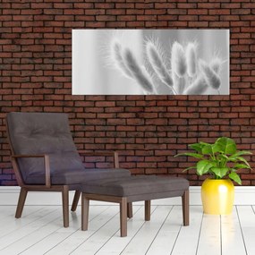 Kép - Nyuszi farok fű (120x50 cm)