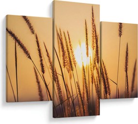 Kép - Füvek a napon (90x60 cm)