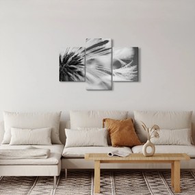 Kép - Makró, fekete-fehér (90x60 cm)
