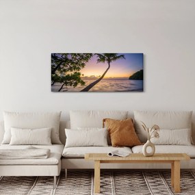 Kép a pálmafa a tengerparton (120x50 cm)