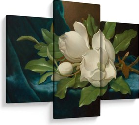 Kép - Martin Johnson Heade, Giant Magnolias on a Blue Velvet Cloth, reprodukciók (90x60 cm)