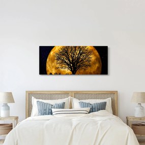 Holdok és sziluettek képe (120x50 cm)