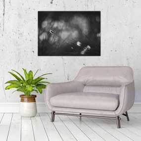 Kép - Mezei fű (70x50 cm)