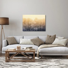 Fagyos erdő képe (70x50 cm)