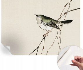 Öntapadós Dekoratív Fotótapéta Hálószobába Harmonikus madár 312x219 cm