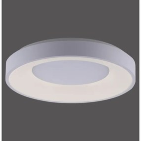 Leuchten Direkt 14326-16 - LED fényerő-szabályzó ANIKA LED/30W/230V + RC